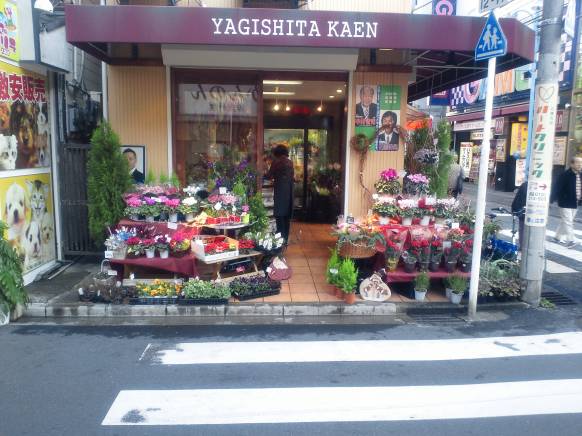 「柳下花園」　（神奈川県鎌倉市）の花屋店舗写真1